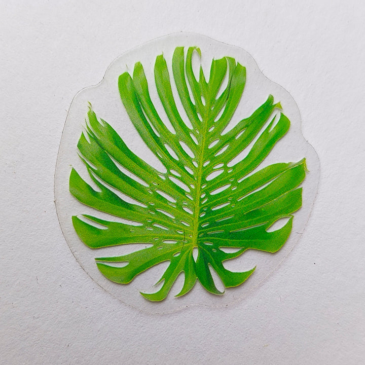 Sticker Impermeable Monstera #7