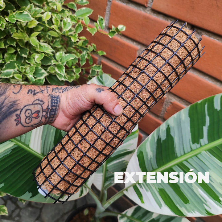 Tutor Modular de Fibra de Coco – 30 cm