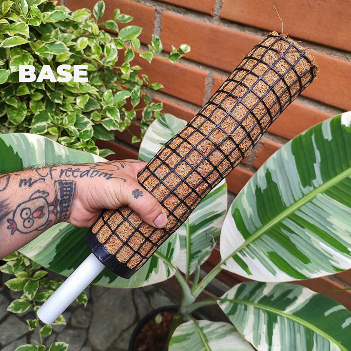 Tutor Modular de Fibra de Coco – 30 cm