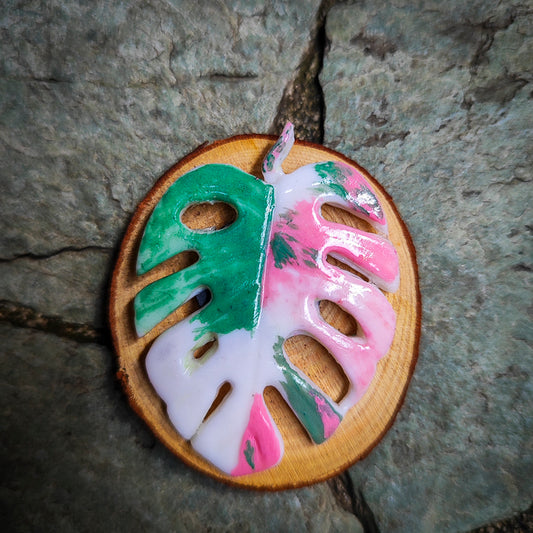 Imán artesanal de Monstera #12