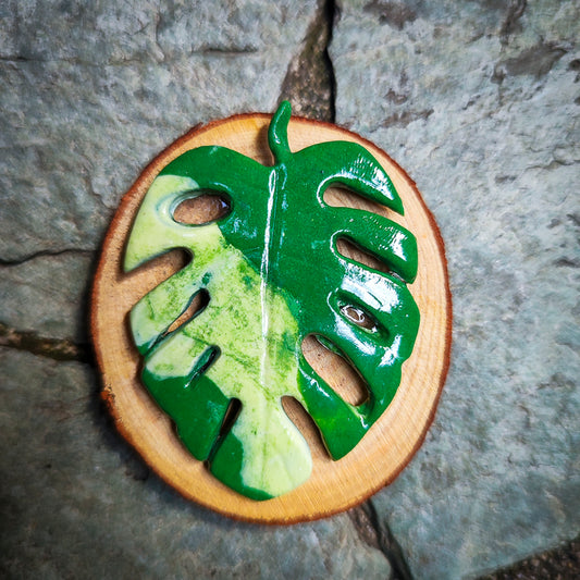 Imán artesanal de Monstera #13