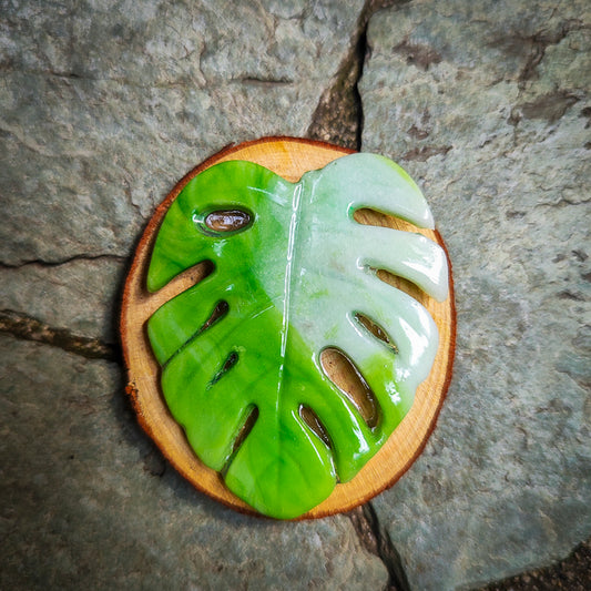 Imán artesanal de Monstera #14