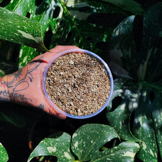 Vermiculita