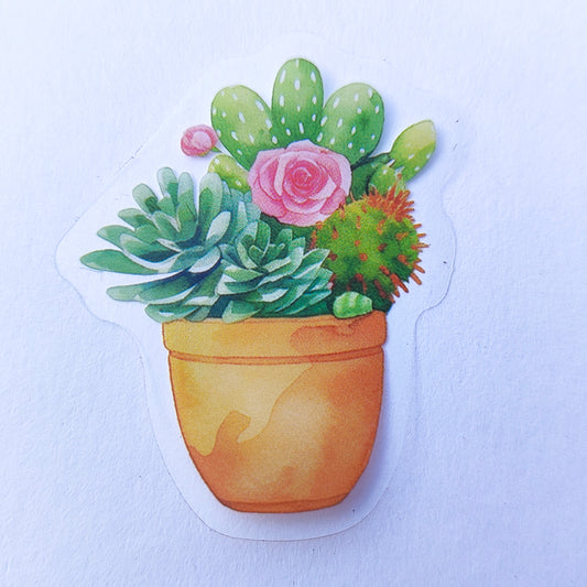 Sticker Impermeable Cactus Acuarela #3