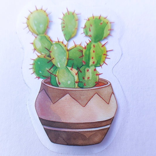 Sticker Impermeable Cactus Acuarela #7