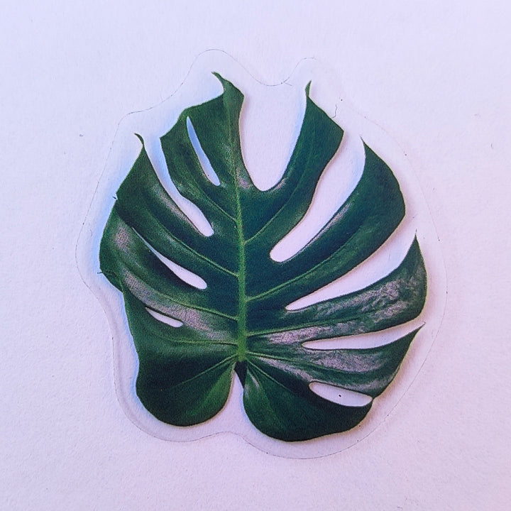 Sticker Impermeable Monstera #3