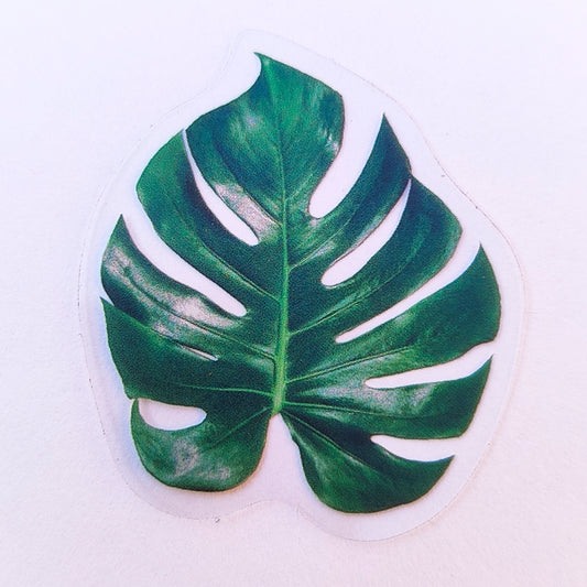 Sticker Impermeable Monstera #5