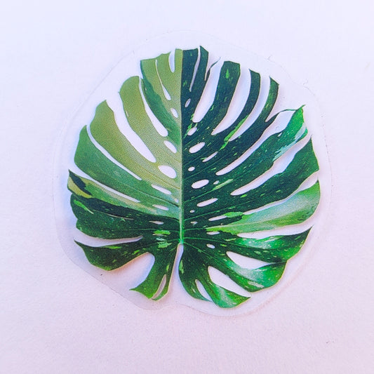 Sticker Impermeable Monstera #6