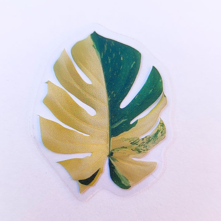 Sticker Impermeable Monstera #1