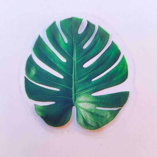 Sticker Impermeable Monstera #17