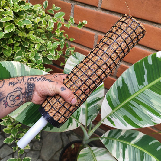 Tutor Modular de Fibra de Coco – 30 cm