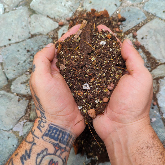 10 Litros Sustrato Especializado Selvático